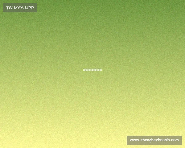 中国女排里约比赛视频回放